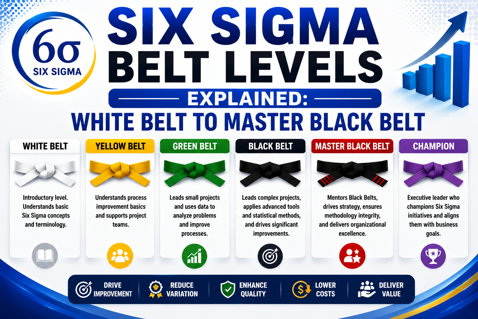 Six Sigma Belt Levels Explained: White Belt to Master Black Belt